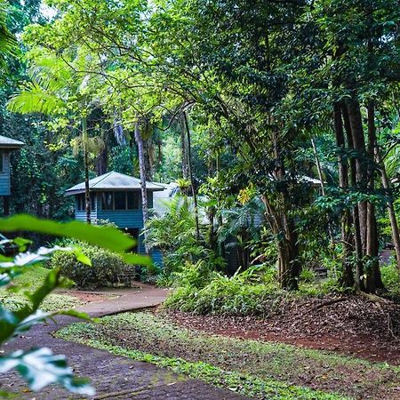 Ferntree Rainforest Lodge Cape Tribulation Exterior foto