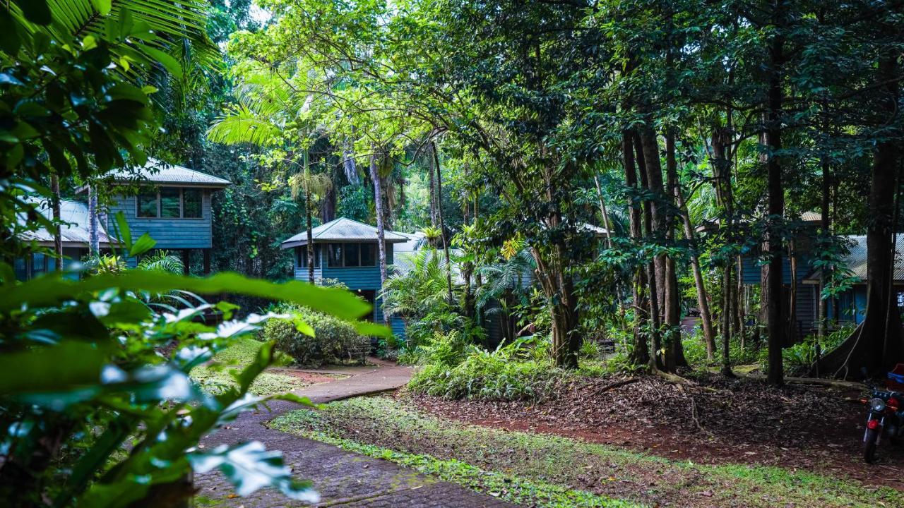 Ferntree Rainforest Lodge Cape Tribulation Exterior foto