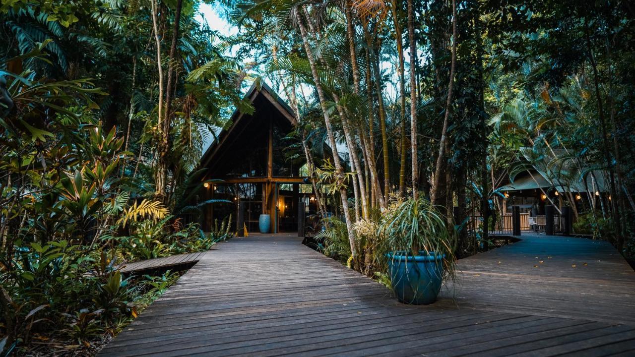 Ferntree Rainforest Lodge Cape Tribulation Exterior foto