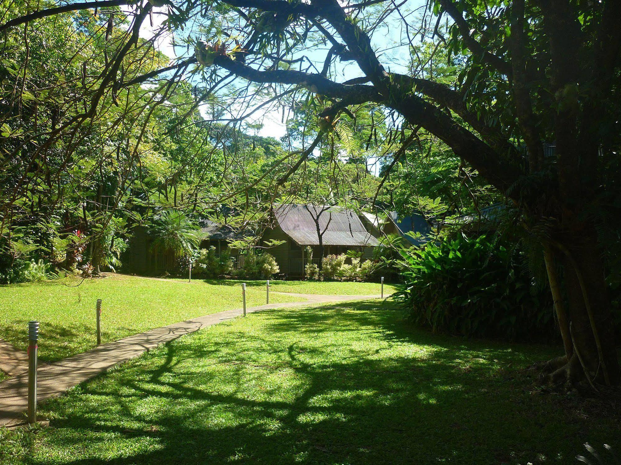 Ferntree Rainforest Lodge Cape Tribulation Exterior foto